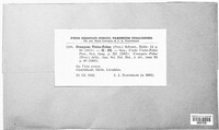Image Associated With the Occurence